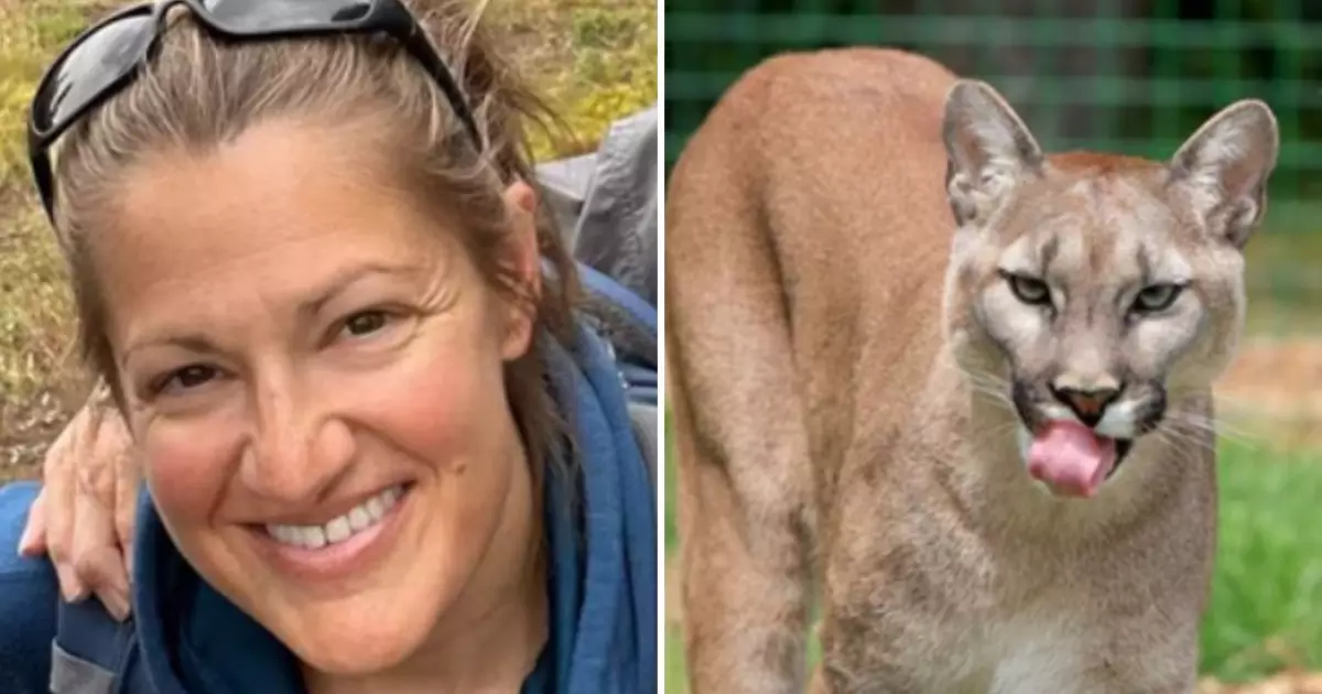 Descubra mulher morre em trilha durante o ano novo após ser atacada por felino