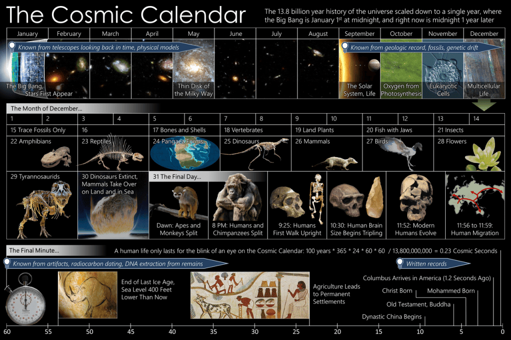 Carl Sagan e o “Calendário Cósmico” que resume 13,8 bilhões de anos em um ano