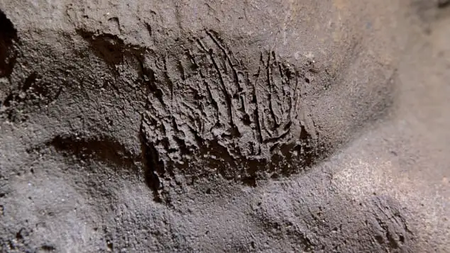 Último refúgio dos neandertais em Gibraltar