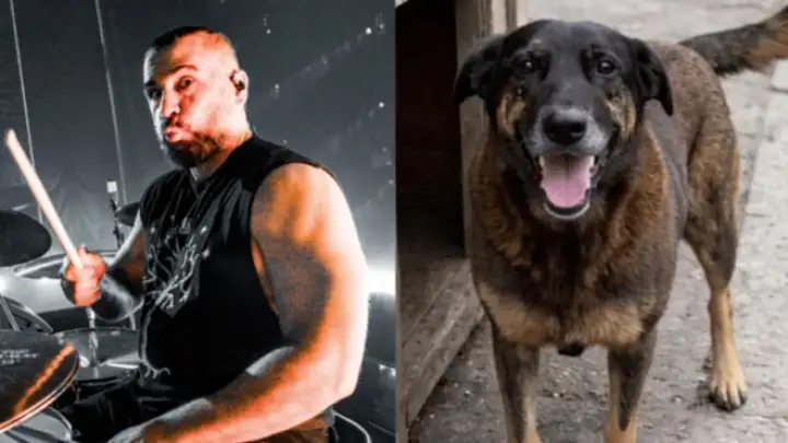 John Dolmayan, do System Of A Down, se manifesta sobre a morte do cachorro Orelha