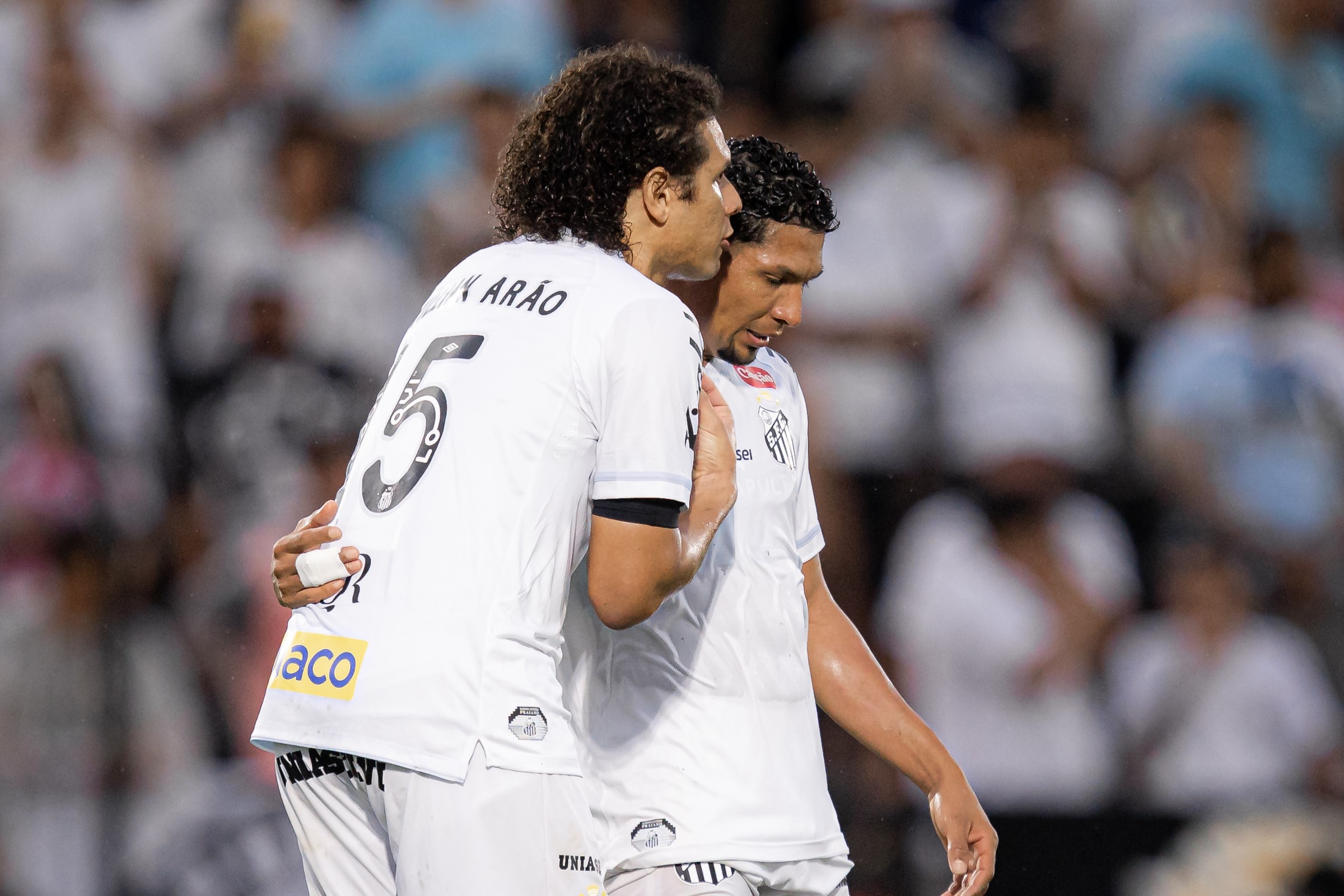 Santos e Vasco se enfrentam pelo Brasileirão na Vila Belmiro; veja onde assistir e prováveis escalações