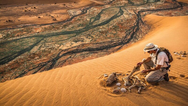 NASA aponta que o Saara já foi savana e pode voltar a ser em milhares de anos