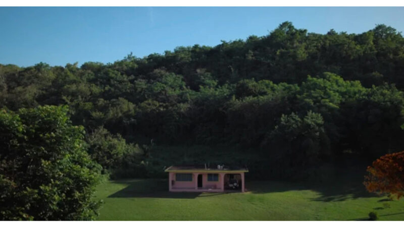 Como acompanhar o show de Bad Bunny fora da “La casita” sem perder a experiência, segundo Carlos Taran