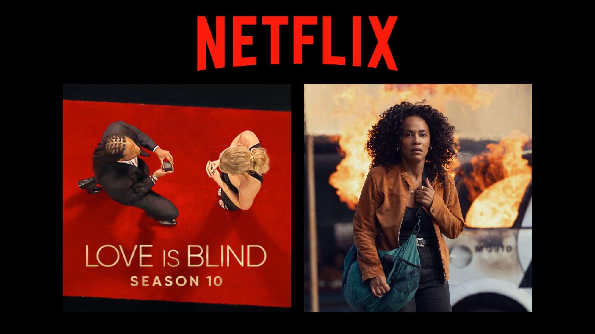 Netflix divulga lançamentos de 9 a 15 de fevereiro de 2026