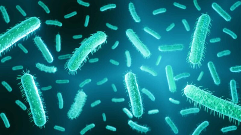 Bactéria Chlamydia pneumoniae detectada na retina pode estar associada ao Alzheimer, aponta estudo