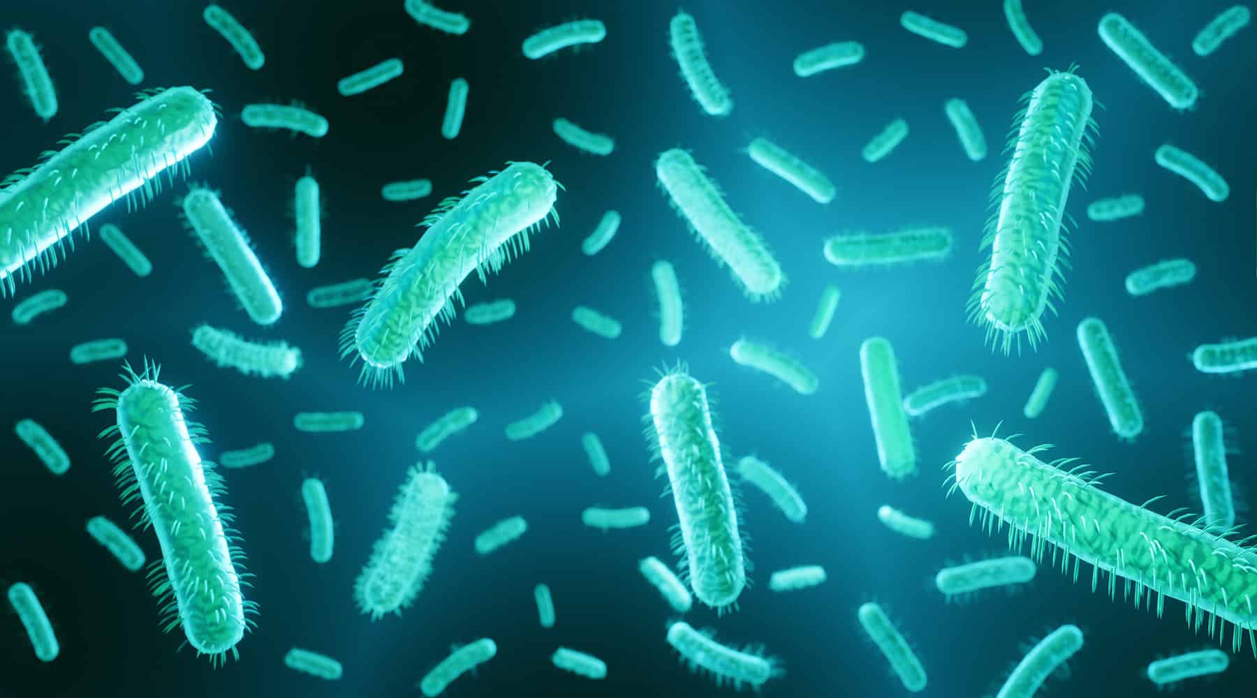 Bactéria Chlamydia pneumoniae detectada na retina pode estar associada ao Alzheimer, aponta estudo