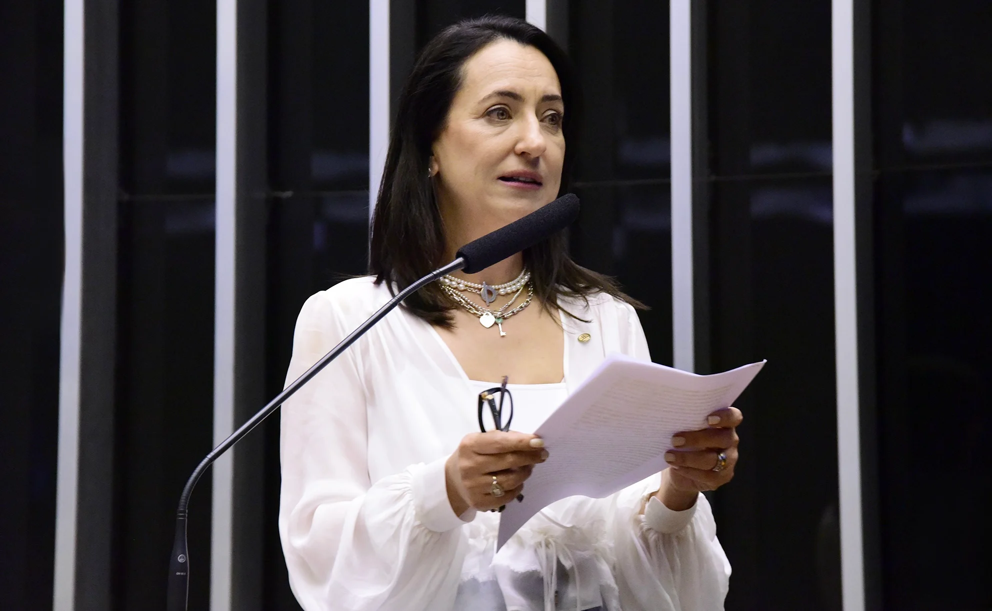 Rosangela Moro pede prisão preventiva e extradição de Lulinha; 47 deputados assinam representação