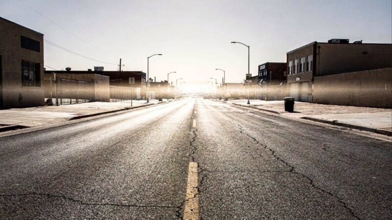 Árvores urbanas podem reduzir até 5°C na temperatura das cidades