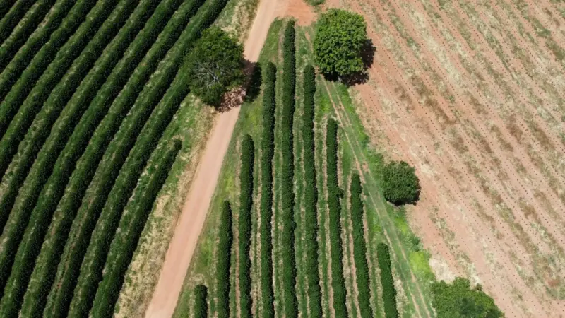 Brasil registra R$ 28 bilhões em prejuízos por desastres naturais em 2025