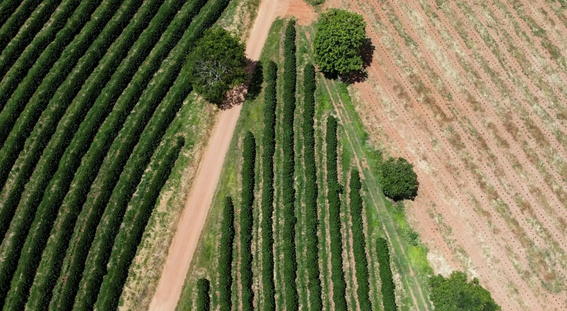 Brasil registra R$ 28 bilhões em prejuízos por desastres naturais em 2025