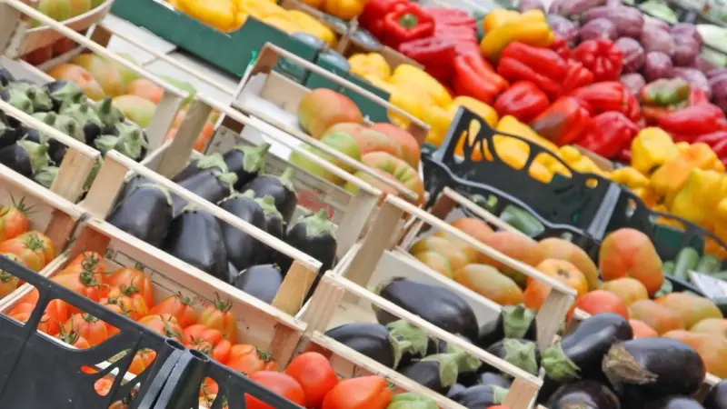 Como ajustar a alimentação e a hidratação durante o verão para evitar mal-estar