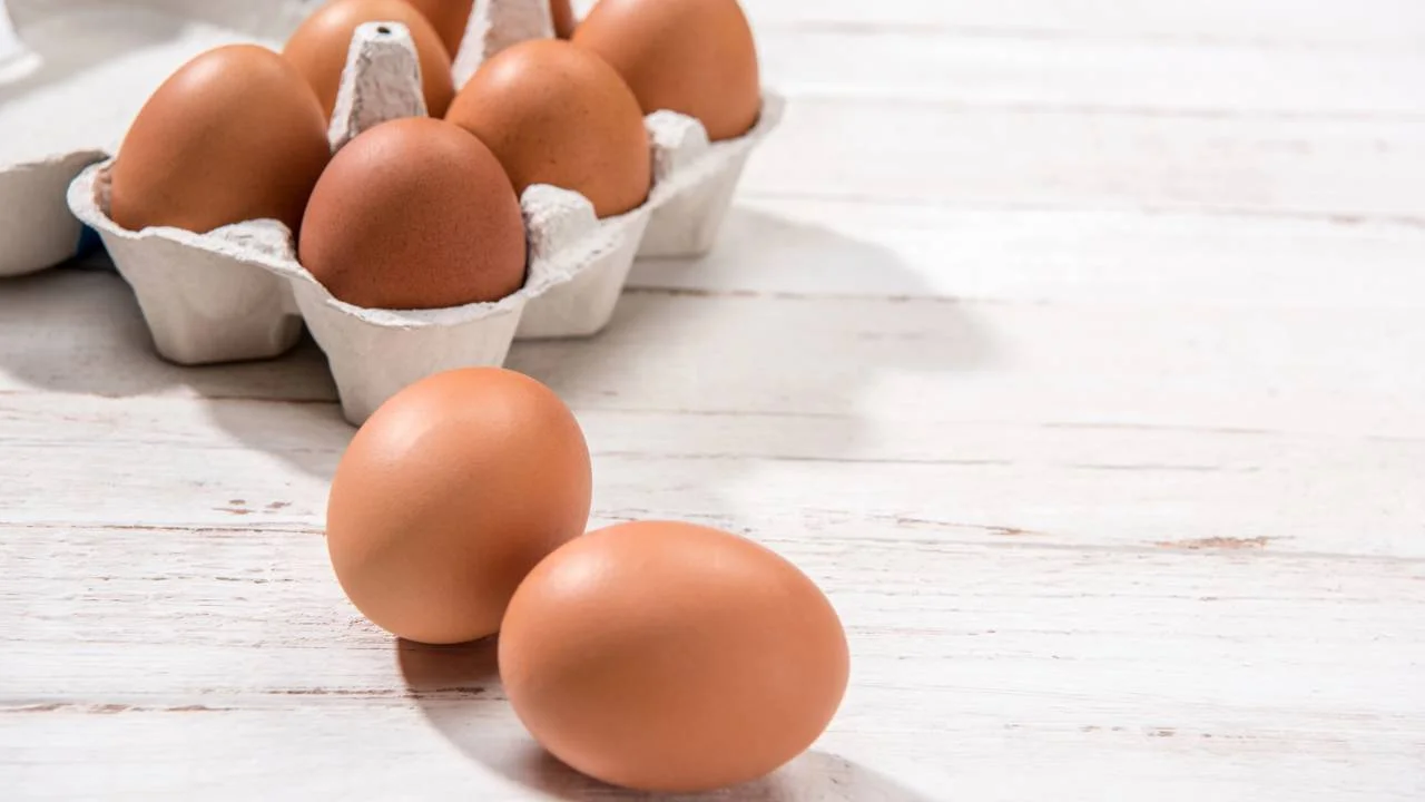 Comer ovos diariamente é prejudicial? Especialistas dizem quando limitar o consumo