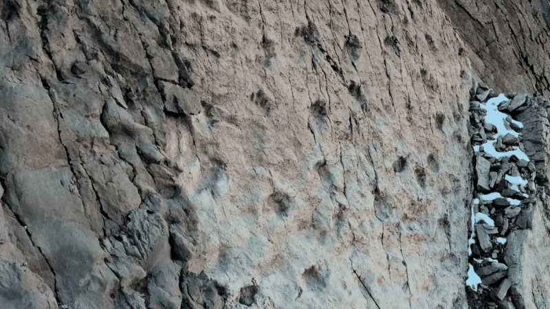 Pegadas de dinossauros do Triássico são encontradas em penhasco quase vertical nos Alpes