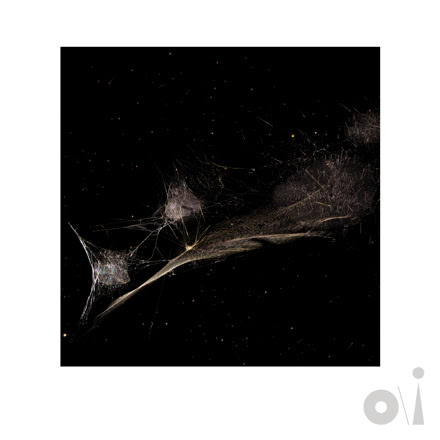 Peter Gabriel divulga “Put the Bucket Down”, segundo single do álbum “o\i”