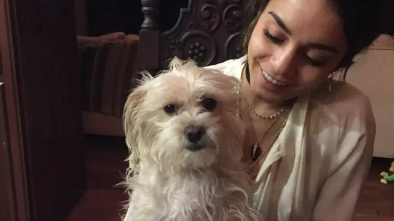 Vanessa Hudgens lamenta perda de sua cachorrinha Darla