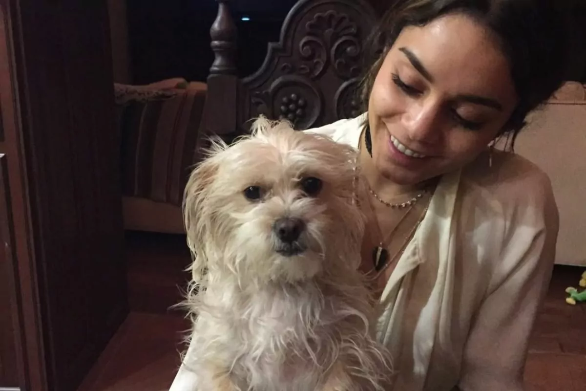 Vanessa Hudgens lamenta perda de sua cachorrinha Darla