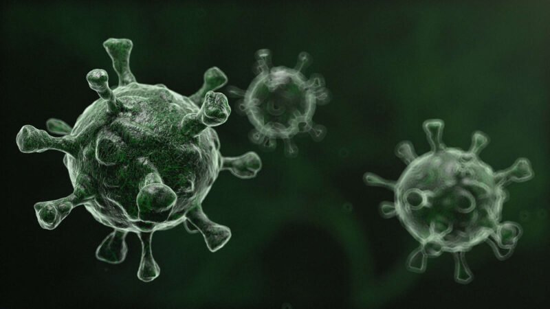 Spray nasal experimental da Leyden Labs apresenta resultados promissores contra a gripe