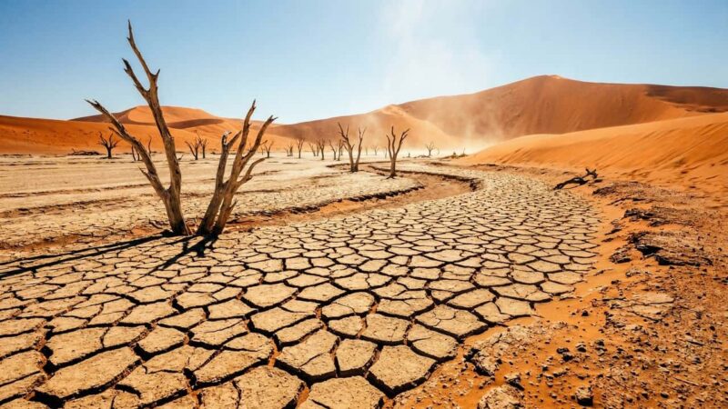 Estudo confirma que o deserto do Saara foi uma região úmida há 8.000 anos