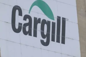 Frigol prevê elevar produção de carne bovina em 60% em 2026