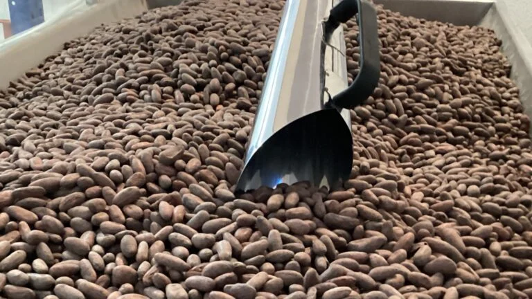 Chocolat du Jour aposta em educação do paladar e estuda primeira loja nos EUA