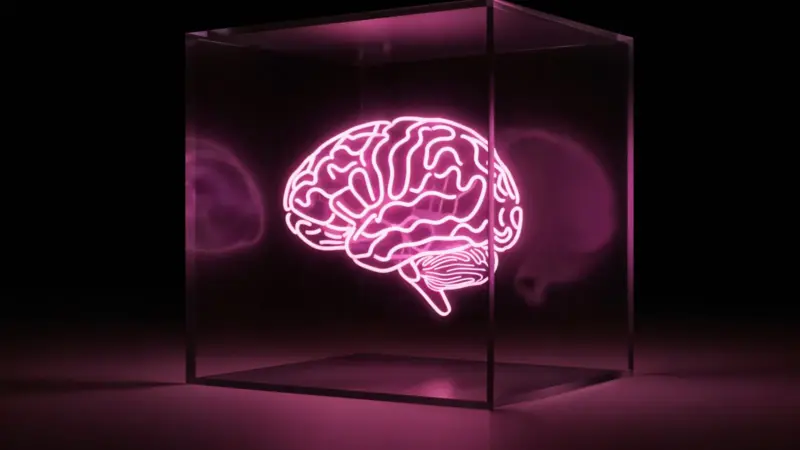 Neurocientista Daya Grant descreve seis hábitos diários para manter o cérebro afiado