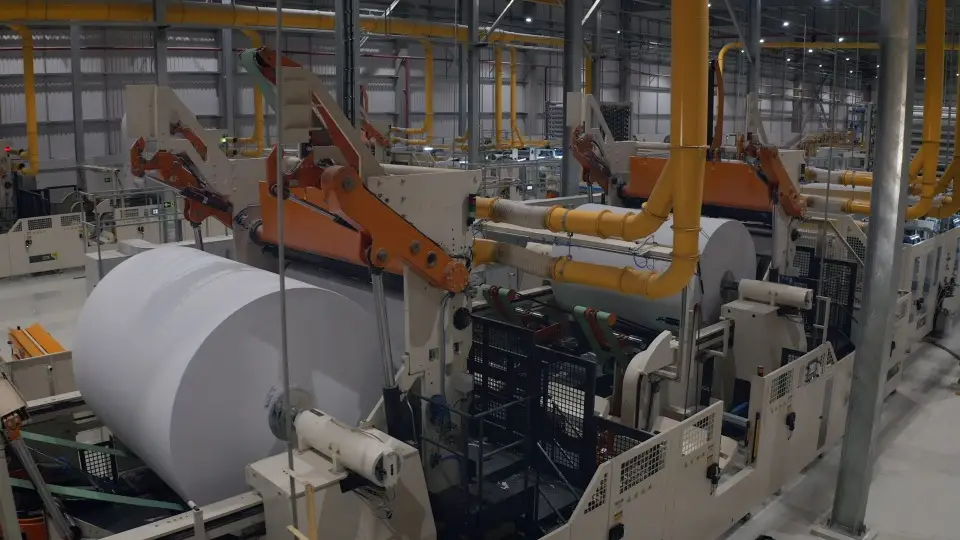 Suzano anuncia aumento nos preços da celulose a partir de abril