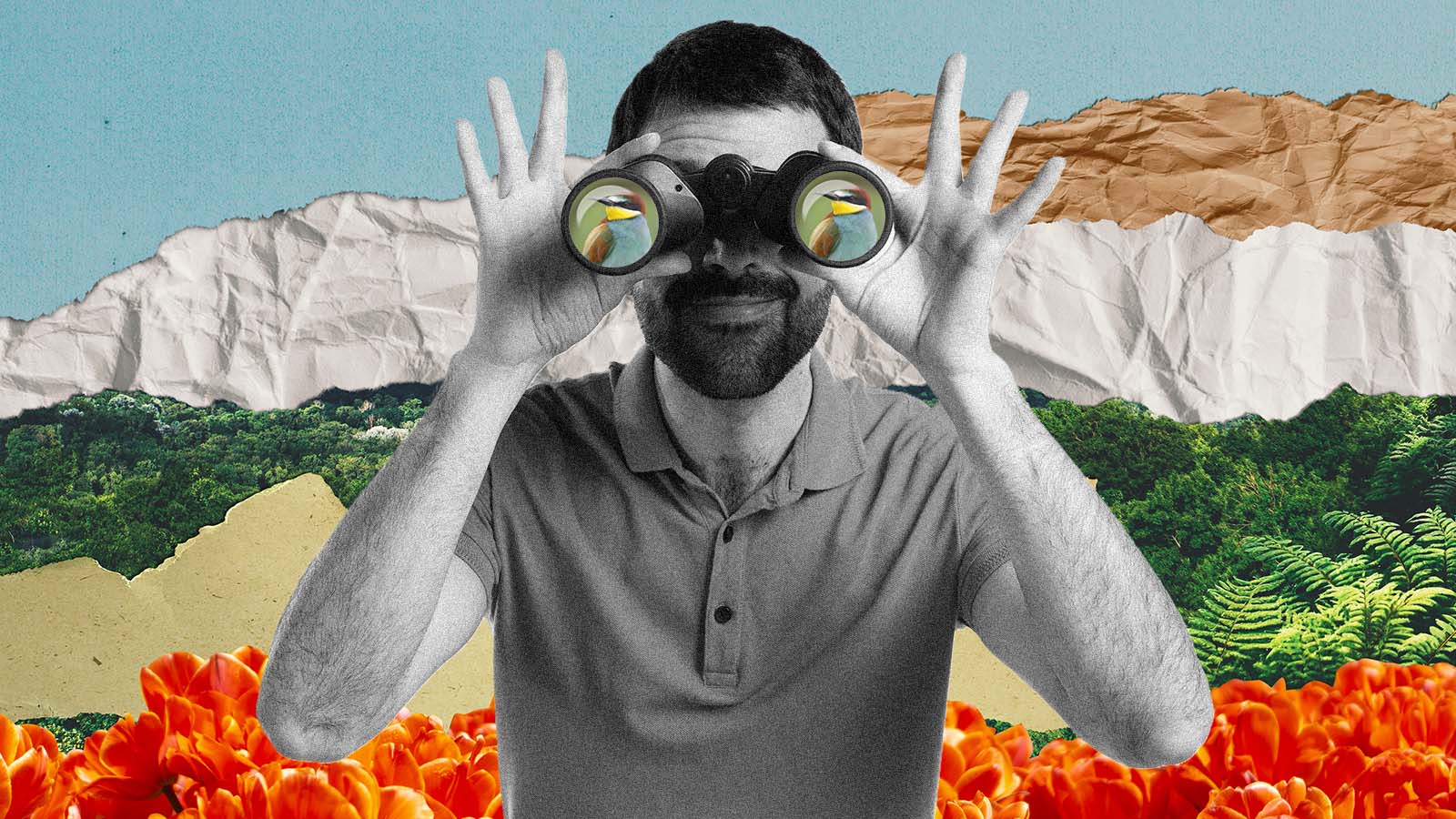 Observar pássaros pode mudar a estrutura do cérebro e melhorar habilidades cognitivas, aponta estudo