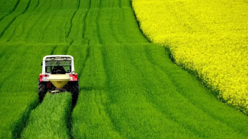 Como investir no agronegócio pela Bolsa: opções, riscos e diversificação