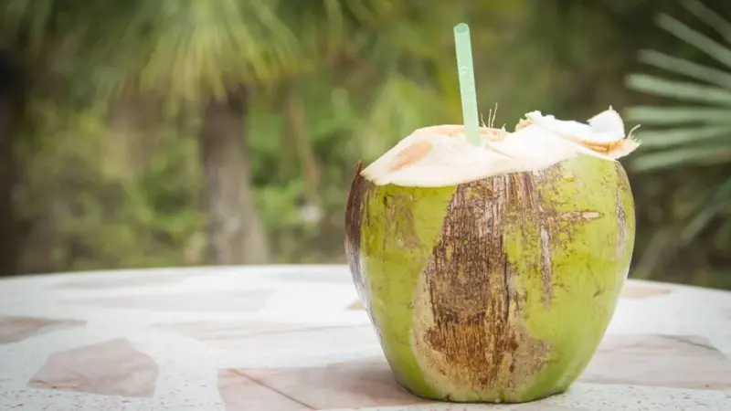 Água de coco: benefícios, usos e como incluí-la na rotina