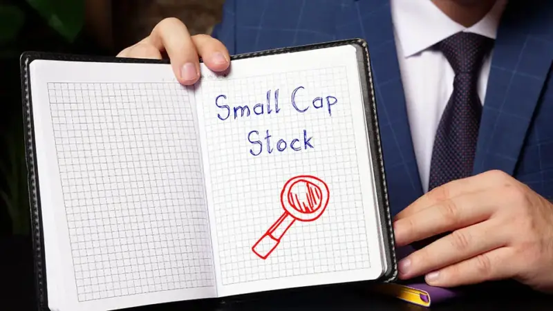 Especialistas apontam oportunidades e riscos para investir em small caps neste momento