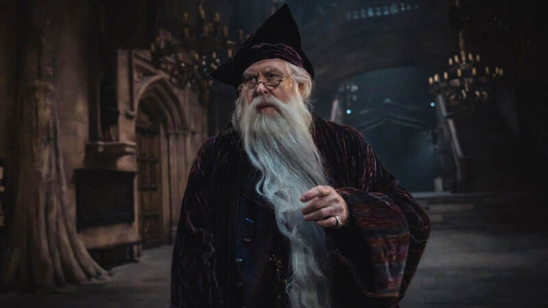 Série de Harry Potter para HBO Max promete adaptar cada livro com fidelidade