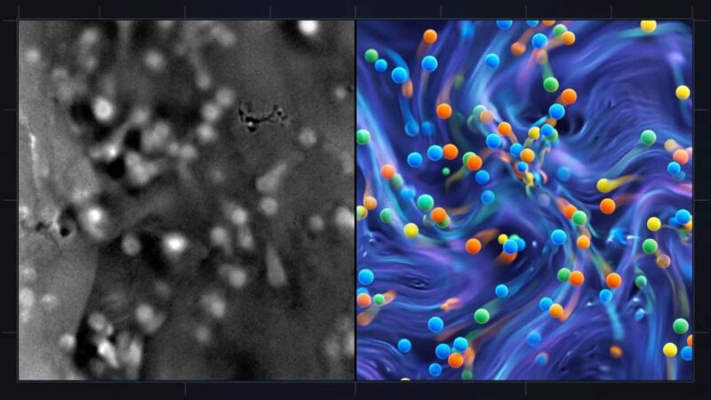 Nano-aquários de grafeno permitem observar átomos em movimento em tempo real