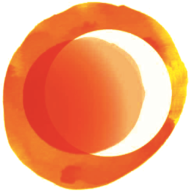 Vaga: Social Media and Digital Marketing Coordinator na Solar Management, N1 Londres