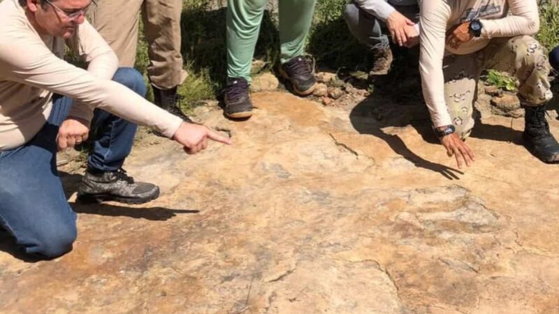 Maior pegada de dinossauro já encontrada no Brasil é descoberta em Sousa (PB)