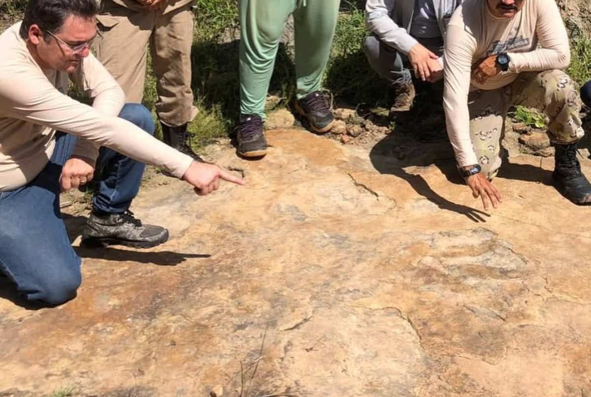 Maior pegada de dinossauro já encontrada no Brasil é descoberta em Sousa (PB)