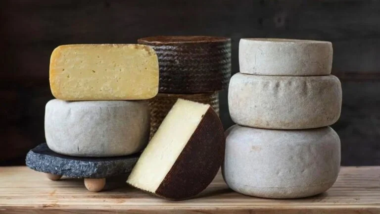 Agroturismo em Vermont oferece oficinas práticas de fabricação de queijo e pão em fazendas premiadas