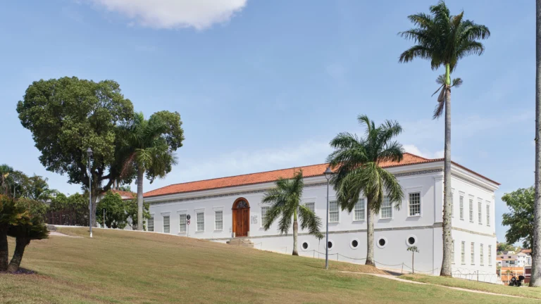 Cultura amplia espaços e recebe investimentos de colecionadores e mecenas