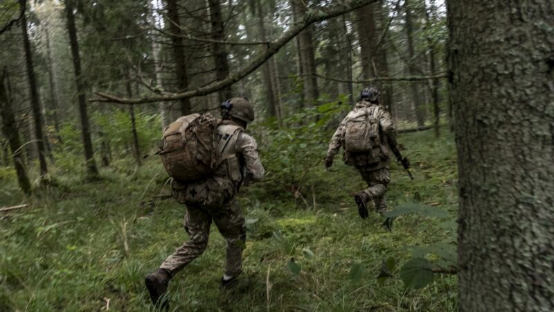 Jovens britânicos recorrem às Forças Armadas diante do desemprego elevado