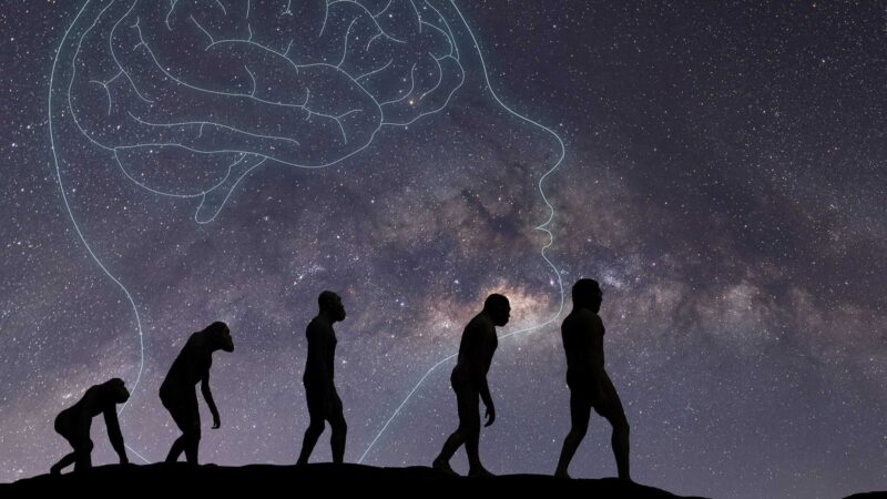 Estudo aponta que neandertais podem ter usado alcatrão de bétula como antibiótico natural