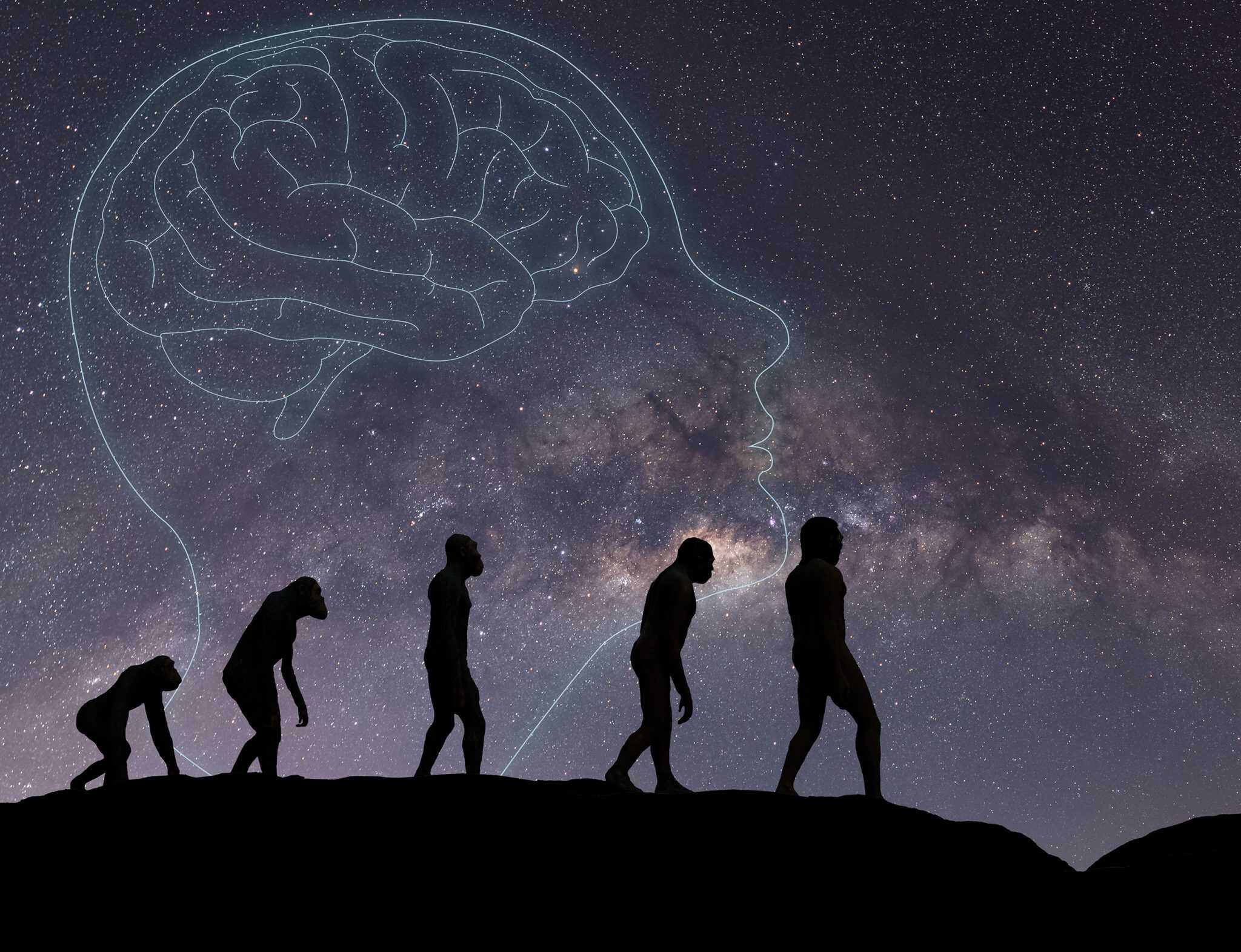 Estudo aponta que neandertais podem ter usado alcatrão de bétula como antibiótico natural