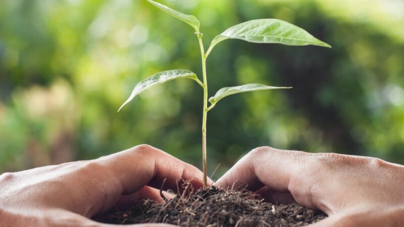 Ceará Sustentável prorroga inscrições e amplia acesso de indústrias à agenda ESG