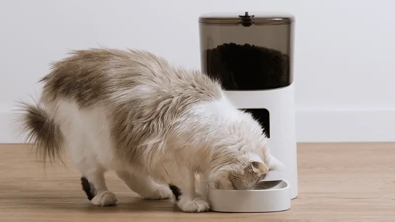 Entenda como casa inteligente: recebidos da redação mostram gadgets que automatizam a rotina