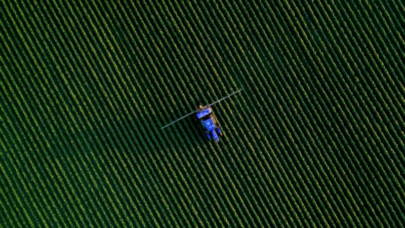 Brasil exporta recordes agrícolas enquanto alimentos ficam mais caros nas prateleiras