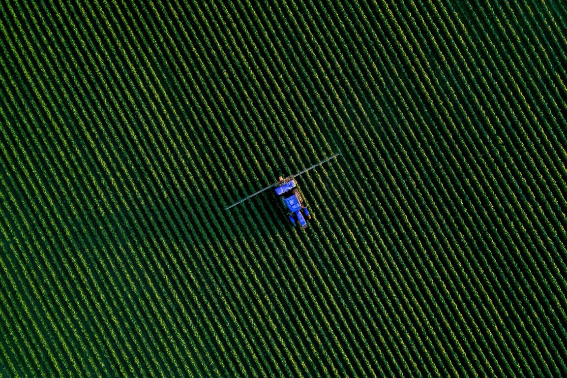 Brasil exporta recordes agrícolas enquanto alimentos ficam mais caros nas prateleiras