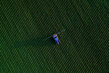Mato Grosso do Sul registra recorde de empregos e redução da dependência do Bolsa Família em 2025
