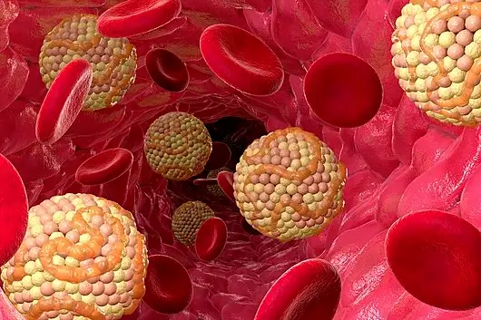 Veja como cura em ‘dose única’ para doença do coração? cientistas indicam que pode ser possível