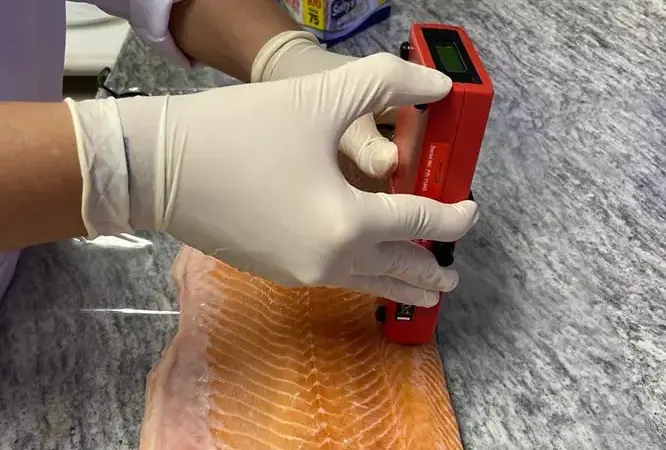 Saiba mais sobre embrapa produz em laboratório salmão, caviar e anéis de lula veganos
