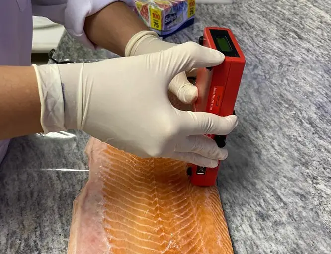 Saiba mais sobre embrapa produz em laboratório salmão, caviar e anéis de lula veganos