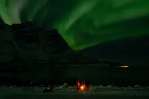 Aurora boreal cria problema em Tromsø com guias turísticos ilegais e sobrecarga da cidade