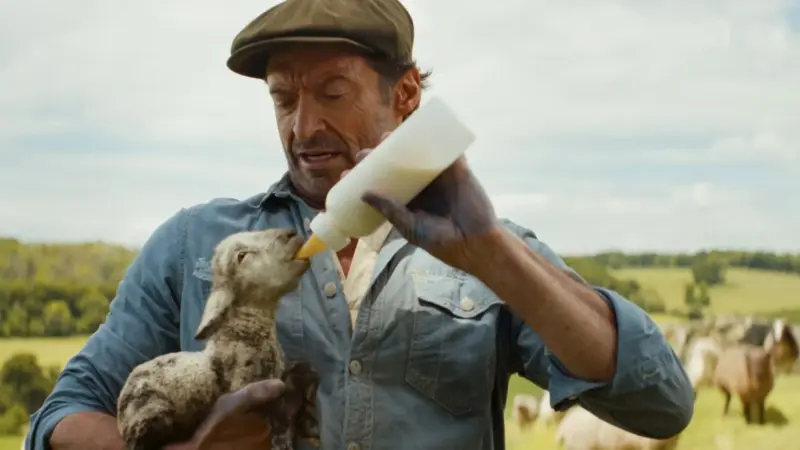 Ovelhas Detetives, com Hugh Jackman, estreia com quase 95% de aprovação da crítica